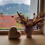 Comfy Mountain Nest *