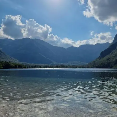 Comfy Mountain Nest Dom wakacyjny Mojstrana