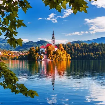 Comfy Mountain Nest Dom wakacyjny *