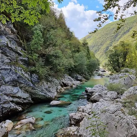 Comfy Mountain Nest *