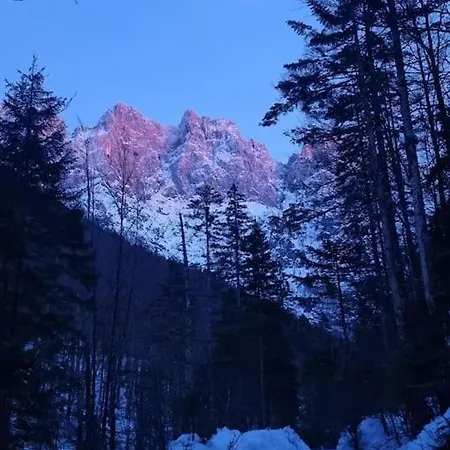 Comfy Mountain Nest *