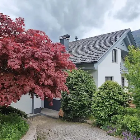 Comfy Mountain Nest 別荘 *