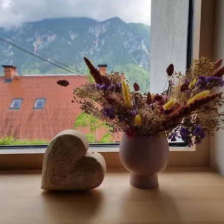 Comfy Mountain Nest *