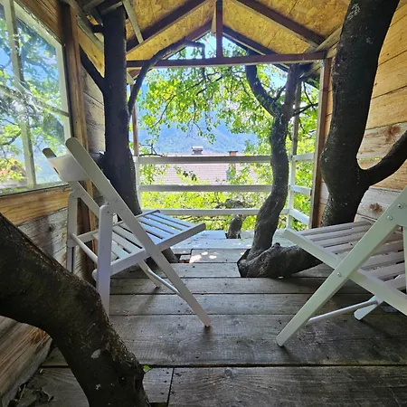 Holiday home Comfy Mountain Nest *