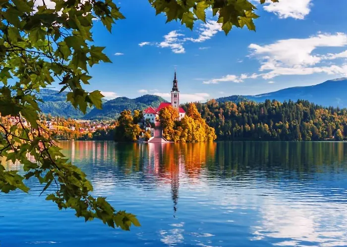 Comfy Mountain Nest 別荘 *