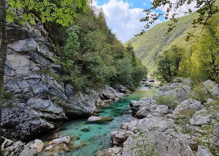 Comfy Mountain Nest *