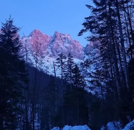 Comfy Mountain Nest *