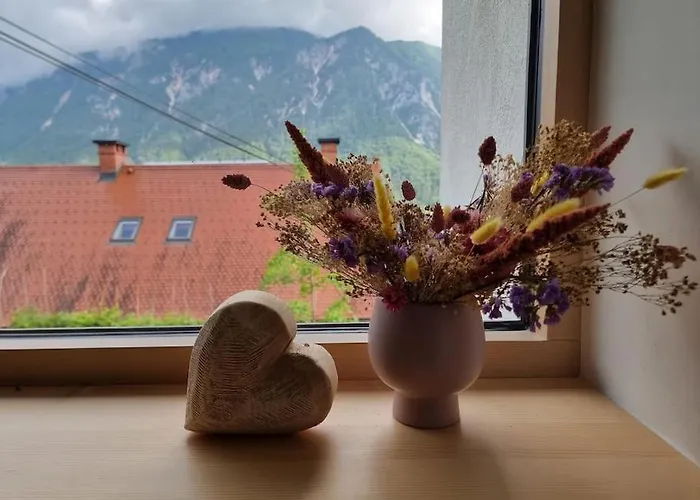 Comfy Mountain Nest *